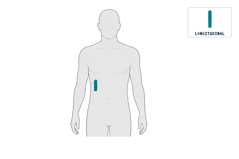 Right flank / posterolateral abdomen, longitudinal probe position